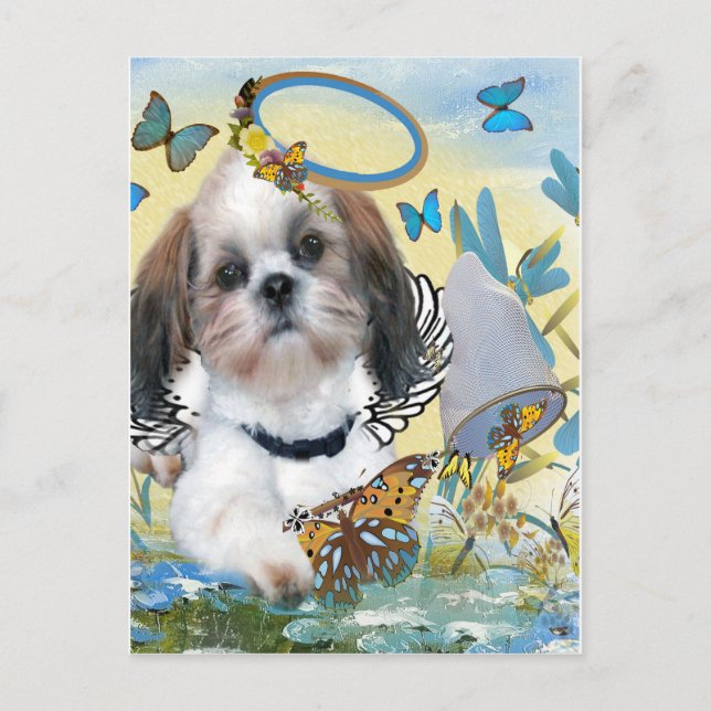 Cartão Postal Chaser Chaser Chaser Cards Shih Tzu (Frente)