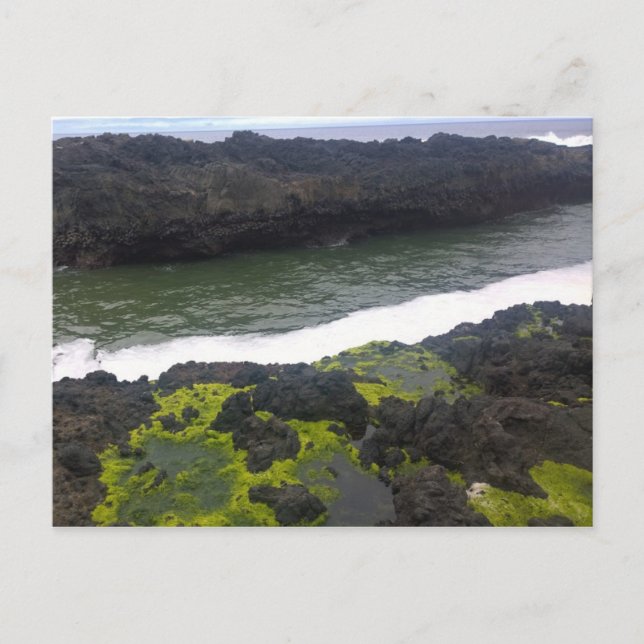 Cartão Postal Chasm de Cook, Cabo Perpétua, Oregon (Frente)