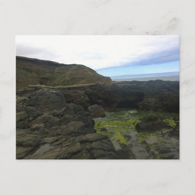 Cartão Postal Chasm de Cook, Cabo Perpétua, Oregon (Frente)