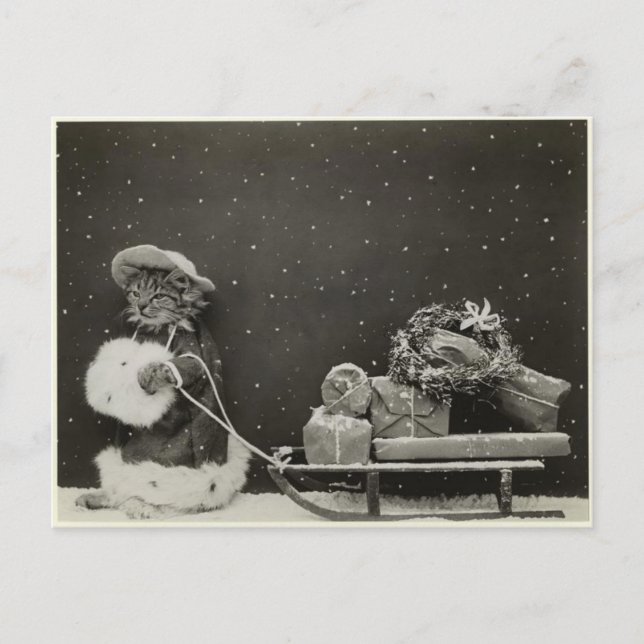Cartão Postal Chat traineau noël (Frente)