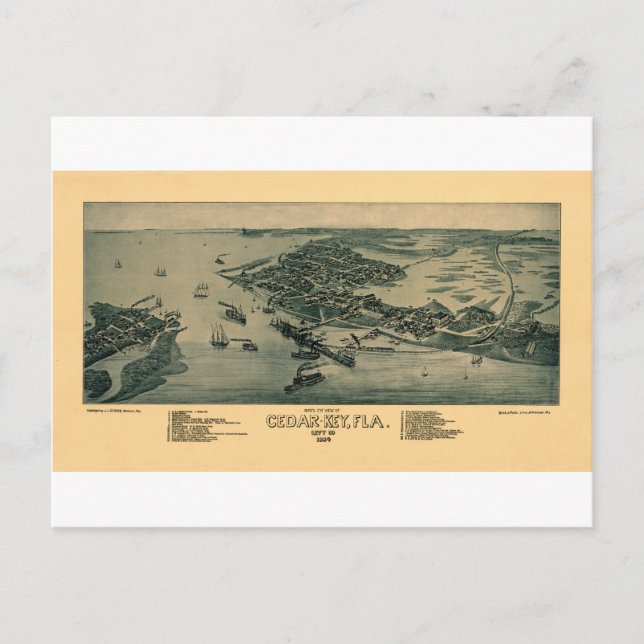 Cartão Postal Chave Cedar (Frente)