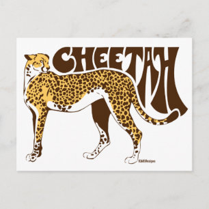 Cartão Postal Cheetah
