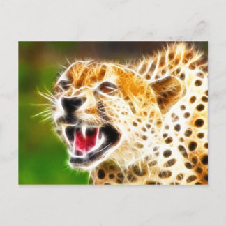 Cartão Postal Cheetah