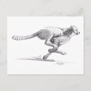Cartão Postal Cheetah
