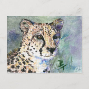 Cartão postal Cheetah Portrait aceo