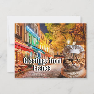 Cartão Postal Chef Cat envia saudações da França