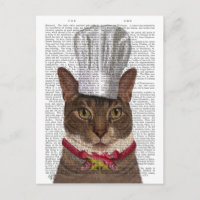 Chef de Gato