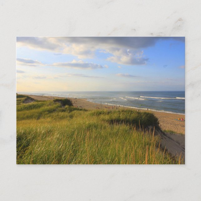 Cartão Postal Chefe da Meadow Beach Truro Cape Cod (Frente)