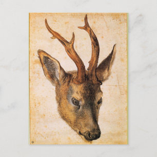 Cartão Postal Chefe de Stag por Albrecht Durer