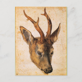 Cartão Postal Chefe de Stag por Albrecht Durer