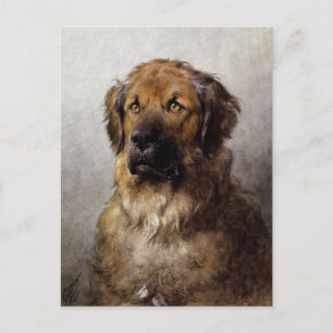 Cartão Postal Chefe de uma Pintura de Cachorro Leonberger