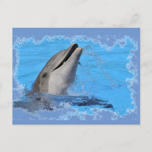 Cartão Postal Chefe do golfinho de gargalo (Frente)