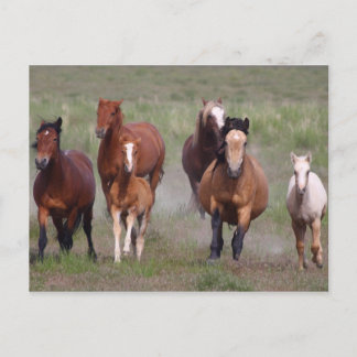 Cartão Postal Chegando Em Você