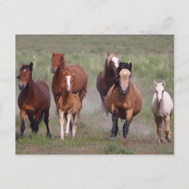 Cartão Postal Chegando Em Você (Frente)