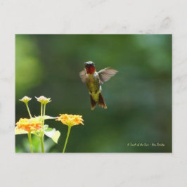 Cartão Postal Chegando para dizer oi!