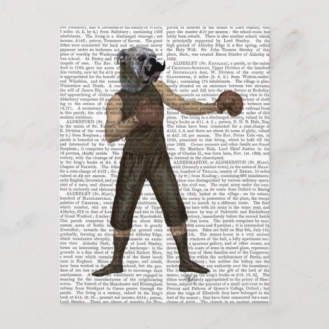 Cartão Postal Cheio Bulldog de Boxing (Frente)