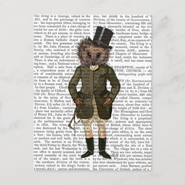 Cartão Postal Cheio de cavaleiro Hedgehog (Frente)