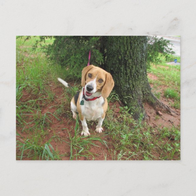 Cartão Postal Chelsea (Frente)