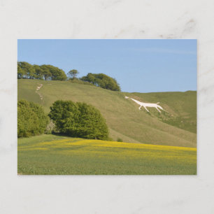 Cartão Postal Cherhill, Wiltshire, England Chalk Horse Postcard