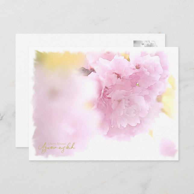 Cartão Postal Cherry Blossom "Azuma-nishiki" (Frente/Verso)