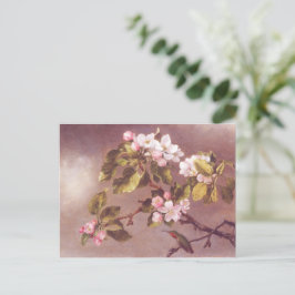 Cartão Postal Cherry Blossom Branch