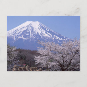 Cartão Postal Cherry Blossom e Monte Fuji