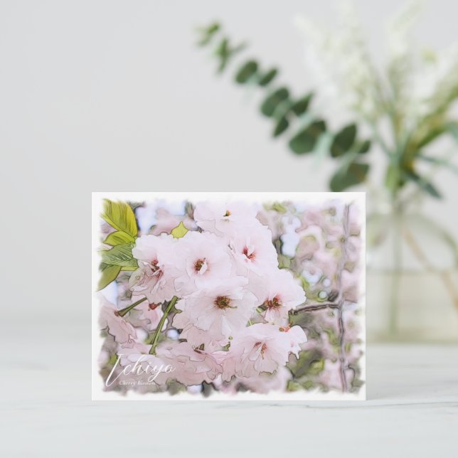 Cartão Postal Cherry Blossom "Ichiyo" (Em pé/Frente)