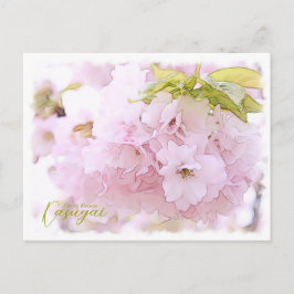 Cartão Postal Cherry Blossom "Kasugai" ポストカード