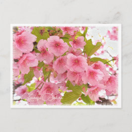 Cartão Postal Cherry blossom "Kawazu-Zakura"