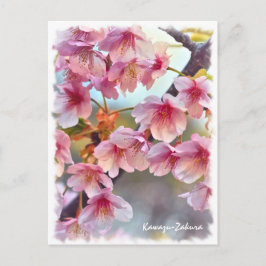 Cartão Postal Cherry blossom: Kawazu-Zakura ポストカード