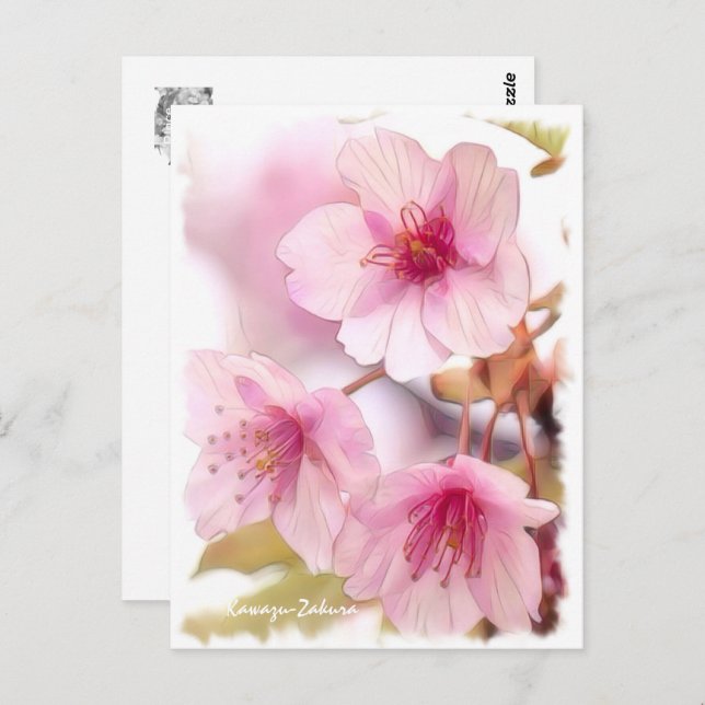 Cartão Postal Cherry blossom: Kawazu-Zakura ポストカード (Frente/Verso)