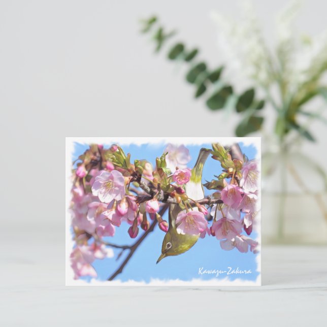 Cartão Postal Cherry blossom: Kawazu-Zakura ポストカード (Em pé/Frente)