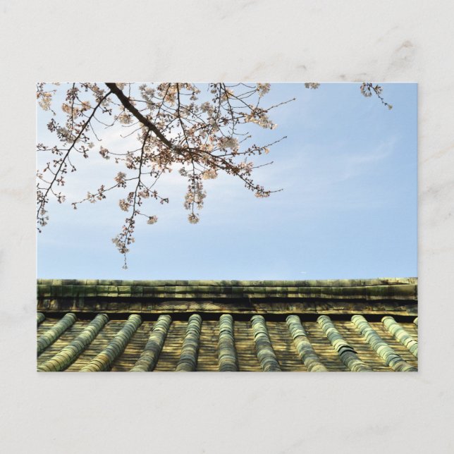 Cartão Postal Cherry Blossom: Templo Zojoji, Tóquio, Japão Postc (Frente)