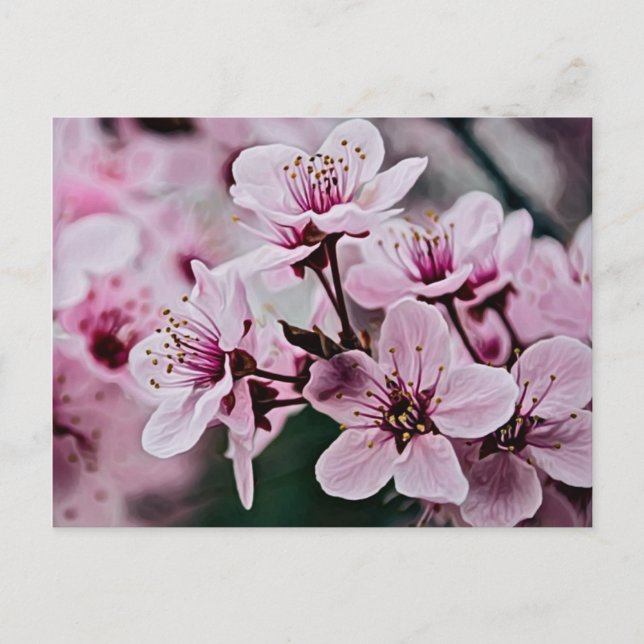 Cartão Postal Cherry Blossoms (Frente)