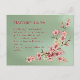 Cartão Postal Cherry Blossoms em Rosa e Teal