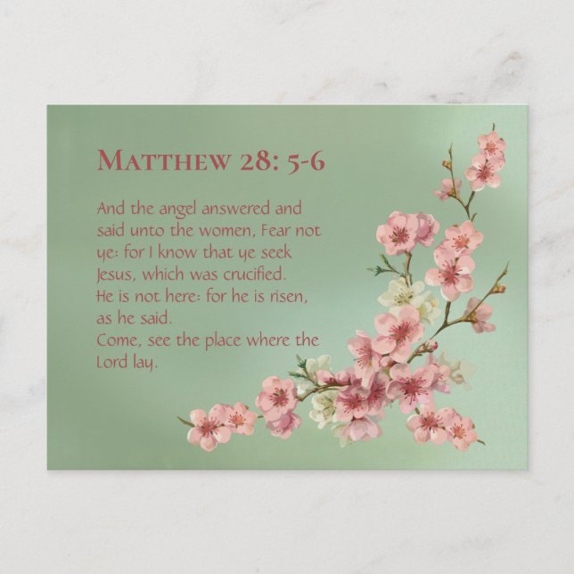 Cartão Postal Cherry Blossoms em Rosa e Teal (Frente)