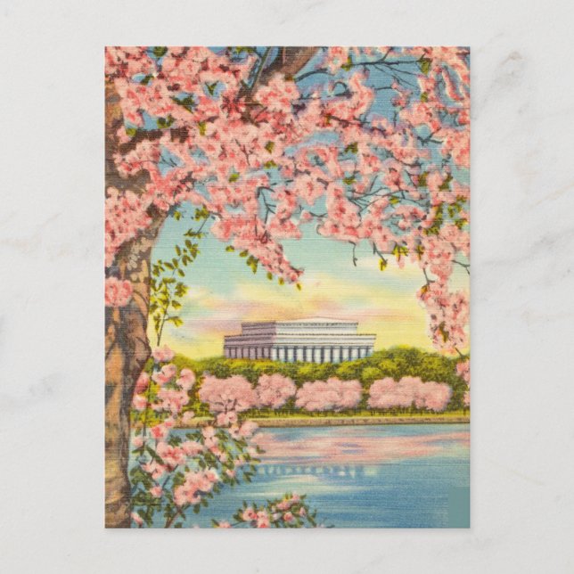 Cartão Postal Cherry Blossoms em Washington D.C. (Frente)