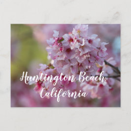 Cartão Postal Cherry Blossoms na praia de Huntington, CA