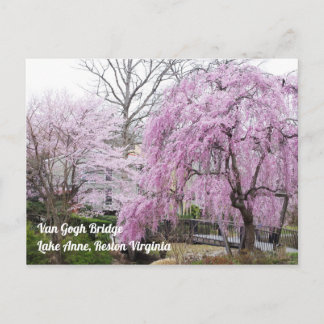 Cartão Postal Cherry Blossoms Van Gogh Bridege Lake Anne Reston