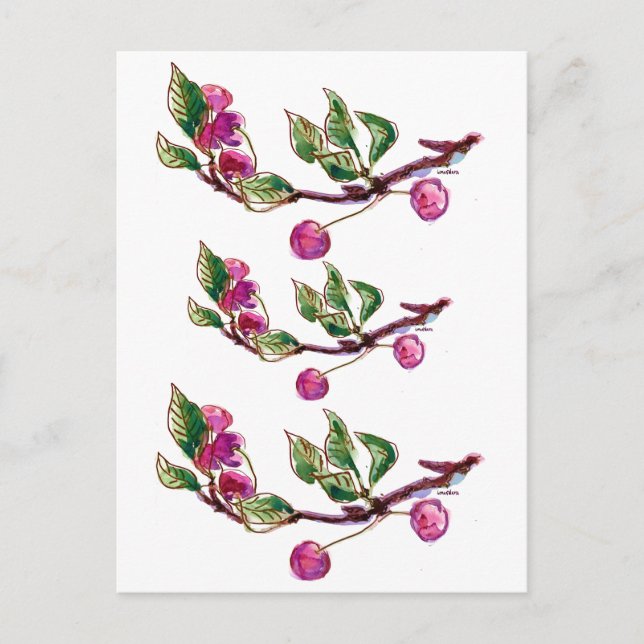 Cartão Postal Cherry Branch (Frente)