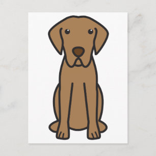 Cartão Postal Chesapeake Bay Retriever Dog Cartoon
