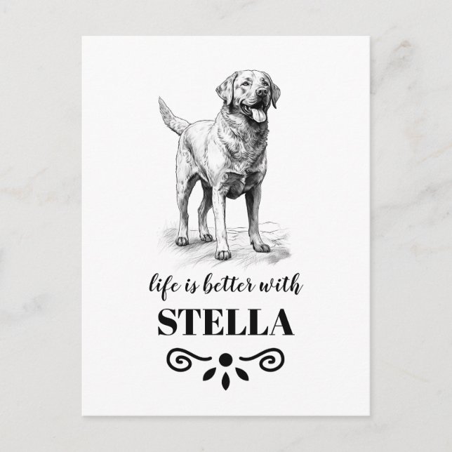 Cartão Postal Chesapeake Bay Retriever Nome personalizado do cão (Frente)