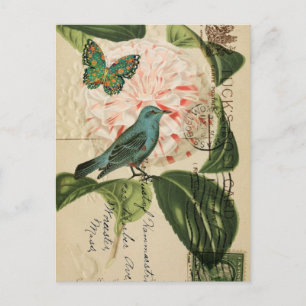 Cartão Postal Chic Vintage Bird camellia arte botânica francesa