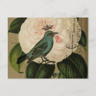 Cartão Postal Chic Vintage Bird camellia arte botânica francesa