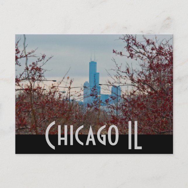 Cartão Postal chicago (Frente)