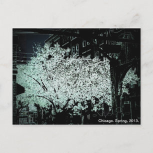 Cartão Postal Chicago Blossoms Abstrato