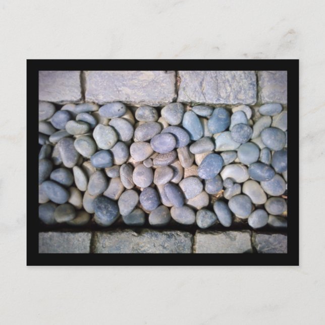 Cartão Postal chicago botânico: caminho rochoso (Frente)