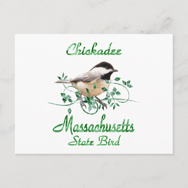 Cartão Postal Chickadee Massachusetts State Bird (Frente)