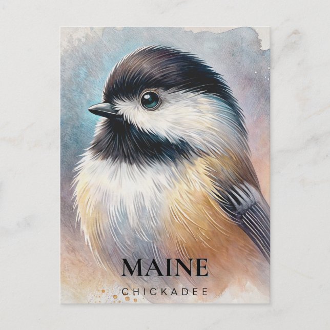 Cartão Postal Chickadee Watercolor Art Maine Bird (Frente)
