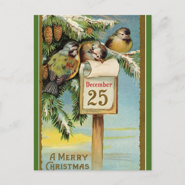 Cartão Postal Chickadees editáveis no Natal 25 de dezembro (Frente)